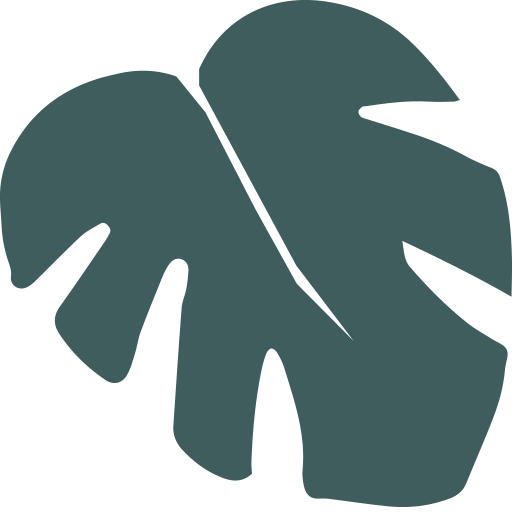cropped favicon drew